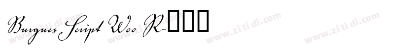 Burgues Script W00 R字体转换